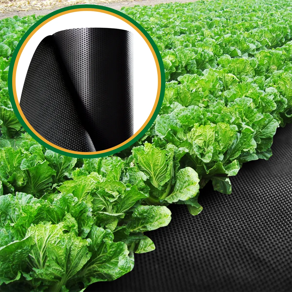 2ftx300ft黒雑草バリア生地優れた透過性雑草防除を備えた頑丈な織り地布便利なデザイン