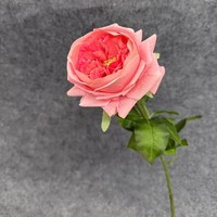 Rose artificielle réaliste imperméable faite à la main, rose Juliette hydratante, décoration de table de luxe légère, accessoires de photographie, mariage