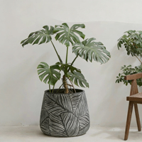 Jardinière Vintage Simple et Créative en Fibre de Verre, Design Minimaliste et Moderne pour Salon, Maison, Intérieur, Extérieur, Plantes Vertes, Jardin Unique