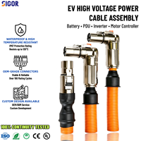 Harnais de câblage personnalisé haute tension en PVC/PBT/PTFE, assemblage de câbles étanche IP67 pour batterie automobile, onduleur PDU, contrôleur de moteur