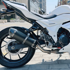 Convient pour Suzuki GSX250/250R/DL250 Scorpion/<span class=keywords><strong>Yoshimura</strong></span>/SC/AR, ensemble de tuyaux d'échappement intermédiaire et arrière, noir/argent - Product Image 6