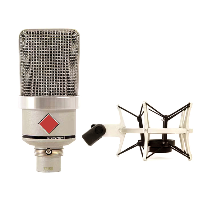 102 Professional Wired Metal Condenser Microphone XLR Noise-Cancelling Studio Recording Live Broadcast Podcast Mic