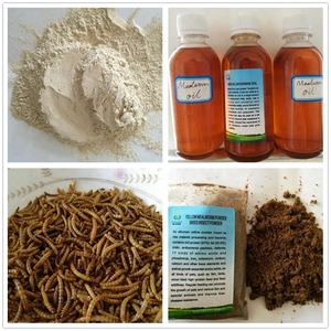 Gusanos de la Harina Secos con Alto Contenido de Proteína <span class=keywords><strong>para</strong></span> Alimento de Peces Guppy - Product Image 6