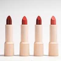 Lot de rouges à lèvres mats véganes et sans cruauté animale, 16 couleurs naturelles, longue tenue 24h, personnalisable avec votre logo