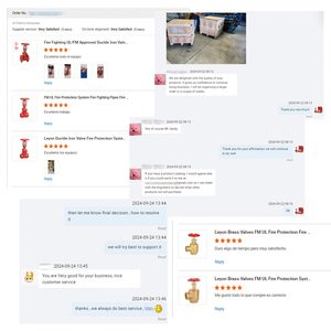 Leyon FM UL Raccord de tuyau Tuyaux de lutte contre l'incendie Système de protection contre l'incendie Raccord de tuyau rainuré Bride Vanne à vanne OSY résiliente - Product Image 6