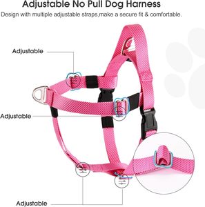 Ensemble de laisse et de harnais pour chien de grande taille, en nylon tactique robuste, rembourré, anti-traction, réglable - Product Image 2