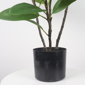 Nouveauté : Arbre artificiel tropical <span class=keywords><strong>ficus</strong></span> indien en plastique vert réaliste de 80 cm, en plastique + PE + soie - Product Image 5