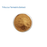 Tribulus Terrestris 90% Saponines Extrait de Fruit UV en Poudre – Complément de Soutien Athlétique pour Vitalité, Force et Santé