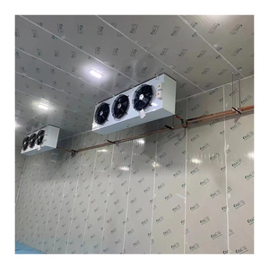 Cella frigorifera da 100 tonnellate con chiusura a camma con pannello in pu conservazione del congelatore per carne congelata profonda - Product Image 4