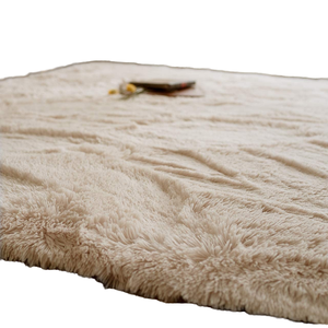 <span class=keywords><strong>Tapis</strong></span> d'hôtel en peluche polaire en fausse fourrure pour salon, <span class=keywords><strong>tapis</strong></span> de salle de bain doux et moelleux, décoration de maison, <span class=keywords><strong>tapis</strong></span> Shaggy, <span class=keywords><strong>tapis</strong></span> de chambre à coucher, <span class=keywords><strong>chien</strong></span> - Product Image 1