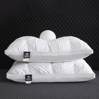 Oreiller de luxe moderne Lris cinq étoiles en tissu plume et fibre de polyester, avec noyau de protection cervicale, design rectangulaire solide pour hôtels et maisons