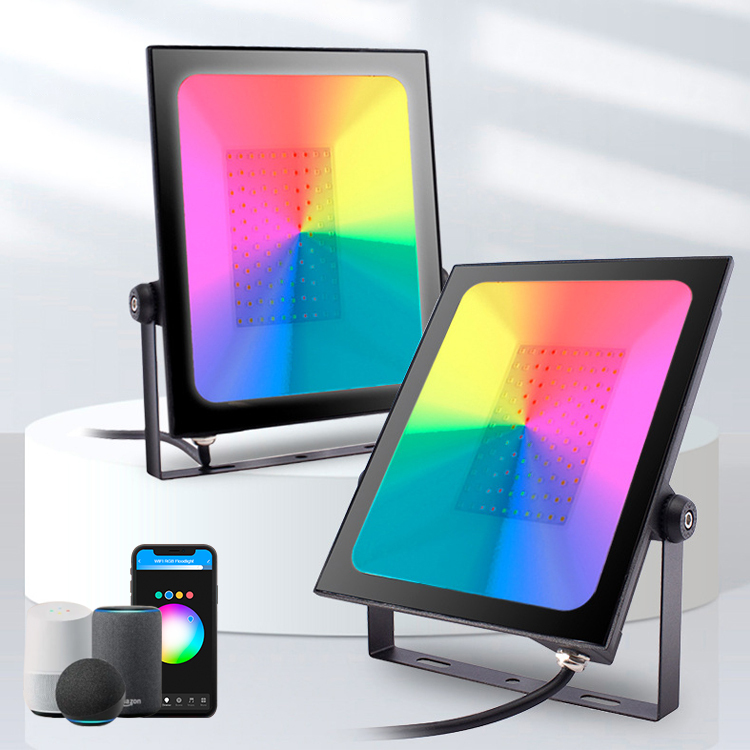 Modern 50W RGB LED Floodlight with Infinite Dimming Smart Control IP65 Waterproof Aluminum Clear Glass for Road Garden Landscape