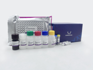 Con người ncam (tế bào thần kinh bám dính phân tử) Elisa Kit cho nghiên cứu sử dụng - Product Image 3