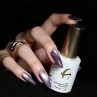 Hema TPO Free ARNAILO Gel Polish Effet Œil de Chat Magnétique Lumière de Lune 15ml Professionnel UV LED Gel Designer Écologique pour