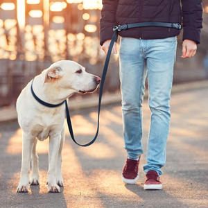 Laisse de dressage pour chien en sangle enduite de PVC solide, durable et luxueuse, imperméable, longue, pour l'appel, le suivi, la natation et la formation - Product Image 5