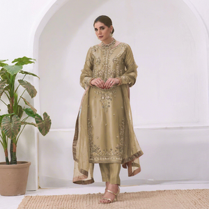 Conjunto Formal de Shalwar Qameez de Organza Bordada, Estilo A-Line, Largo hasta el Suelo, para Mujer, Ropa de Fiesta - Product Image 1
