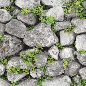 Grass growing between rocks Stacked stones wallpaper cobblestone pvc wall paper
