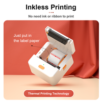 Imprimante d'étiquettes thermiques portable Detonger P1 pour codes-barres et QR codes, mini-imprimante pour étiquettes de prix de bijoux