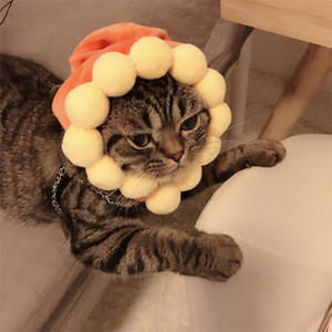 Costume mignon de <span class=keywords><strong>chien</strong></span> en peluche avec perruque d'hiver en coton chapeau de chat d'Halloween avec motif de tournesol <span class=keywords><strong>pour</strong></span> les propriétaires d'animaux domestiques - Product Image 6