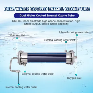 Jogo industrial do gerador do ozônio do tratamento ozônio das águas residuais para o gerador do ozônio da purificação água