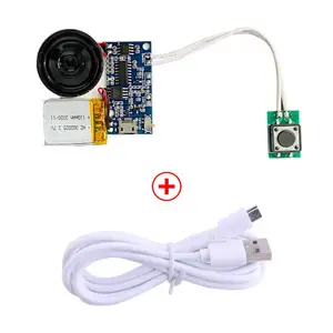 Direct Selling Recordable Sound Module Button Control 8m Mp3 Music Voice Player Usb Board With Speaker For Mother's Day Diy Gift