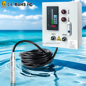 Sonde de niveau d'eau capacitif haute précision 0-10V 4-20mA RS485 DC24V Ss304, capteur de niveau submersible pour eaux souterraines - Product Image 3