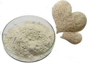 1 kg Bột màu trắng mịn chất lỏng-rắn khai thác 98% toàn bộ <span class=keywords><strong>Psyllium</strong></span> trấu hạt bột thảo dược chiết xuất thành phần thực phẩm Hoang Dã - Product Image 3