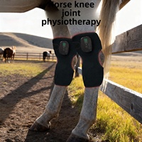 Appareil de thérapie orthopédique équine pulsée 10Hz, lumière rouge 660nm 850nm, dispositif de rééducation vétérinaire pour les douleurs articulaires du jarret du cheval
