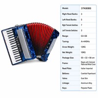 Instrument de musique populaire, accordéon à 37 touches et 80 basses, piano à lames italien, pour débutants et adultes, instrument d'entraînement, aucun avis pour le moment