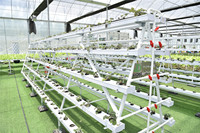 Système hydroponique écologique pour la culture de NFT, serre commerciale, canal hydroponique en PVC de qualité alimentaire pour la culture verticale de la laitue/les herbes