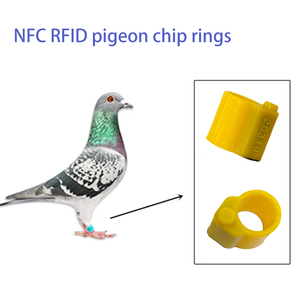 Piccioni personalizzati <span class=keywords><strong>RFID</strong></span> NFC che corrono 125khz TK4100 T5577 uccelli con <span class=keywords><strong>chip</strong></span> di pollo anelli con <span class=keywords><strong>chip</strong></span> di piccione di pollo benzing - Product Image 5