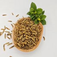 Insectes Séchés Aliment Premium pour Volailles Larves de Mouches Soldat Noires Séchées Aliment Sec de Haute Qualité pour Poulets Canards Tortues Geckos