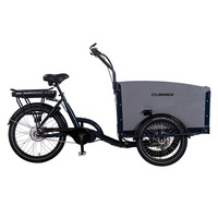 Tricycle électrique à 3 roues en stock en usine avec moteur Bafang et cadre en alliage d'aluminium et batterie au lithium de 13Ah pour les familles