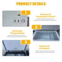 Congélateur coffre horizontal professionnel avancé à refroidissement rapide pour aliments surgelés à basse température, 2 portes, pour boucheries