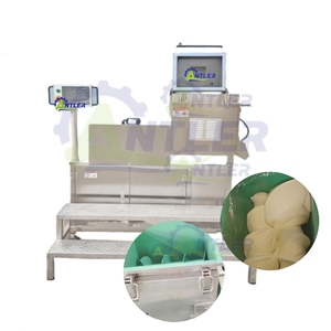 Hoàn toàn tự động Analog pho mát kéo dài Máy chế biến <span class=keywords><strong>Mozzarella</strong></span> pho mát máy làm - Product Image 3