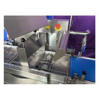 Nouvel arrivage de machine à enrober le chocolat multifonction pour la crème glacée pour le revêtement des biscuits