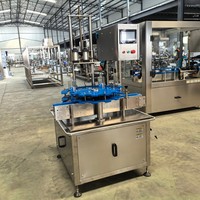 Automatische T-kurk persstopper voor gin, wijn, whisky en likeur, met vibratie-sorteringsmachine