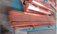 Barre plate/bare en cuivre pur 99,99 % étamé 90x8 80x8 50x10 60x10 80x10 6x100 10x100 18x60mm 8x80mm 8x100mm 8x125mm