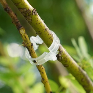 Clip en plastique simple pour la fixation des tomates et la croissance verticale des plantes grimpantes dans la cour - Product Image 3