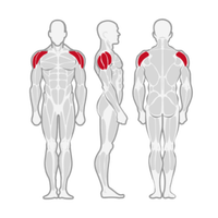Machine à presser les épaules à charge libre, appareil d'entraînement des deltoides en position assise, équipement de musculation professionnel pour salle de sport, siège réglable