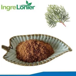 Pasokan produsen CTM Ce Bai Ye <span class=keywords><strong>Platycladus</strong></span> bubuk ekstrak daun <span class=keywords><strong>Orientalis</strong></span> dengan harga terbaik - Product Image 2