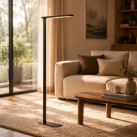 Lampadaire sur pied réglable à bras long, commande tactile, gradation par glissement, 3000K 6000K Ra95, protection oculaire, port USB, lecture au chevet