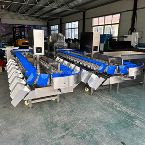 Full Automatic Potatoes Coco Grader Crab Crayfish Sorting Machine Check Weight Sorter Grading Machine With Best Price - Product Image 4