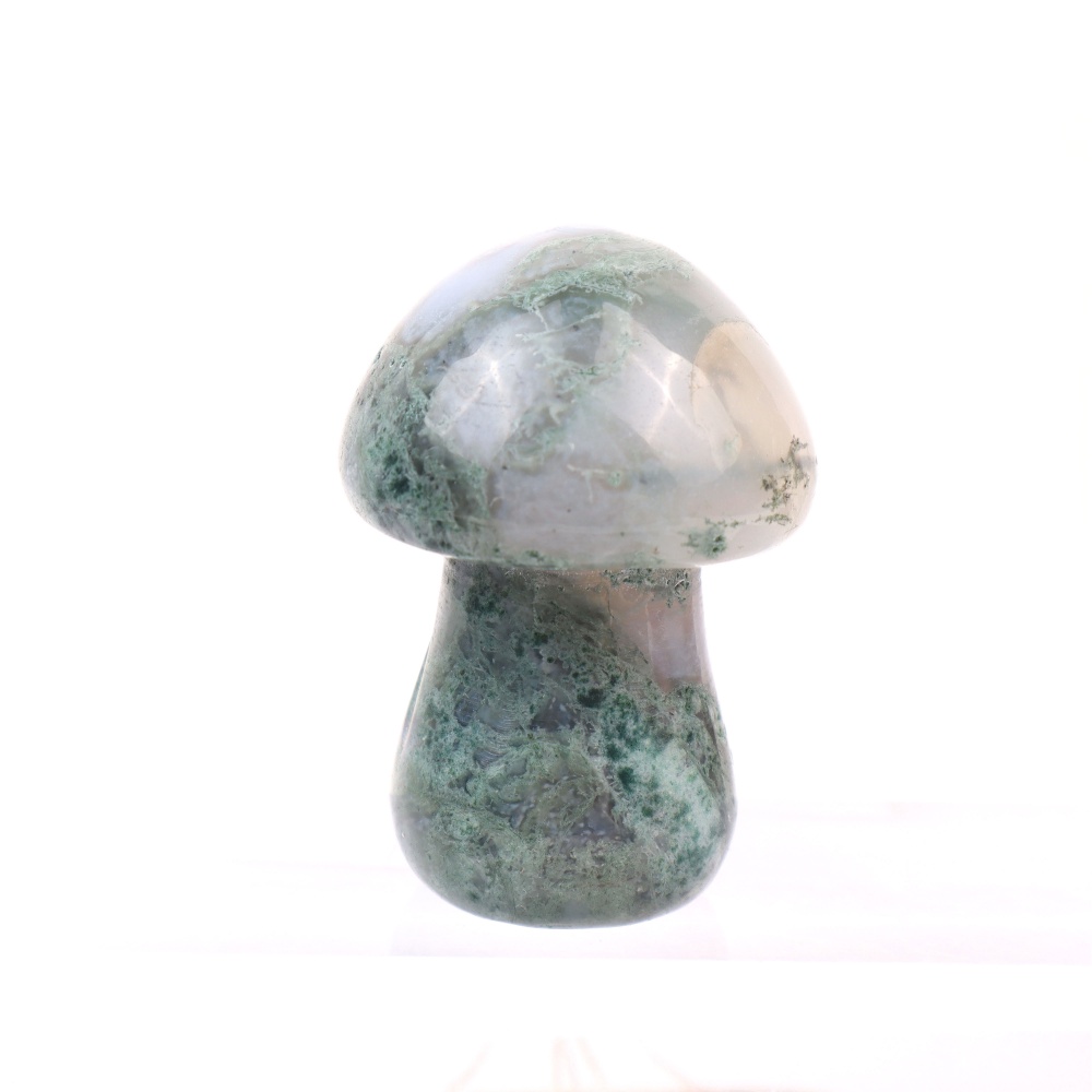 Champignon