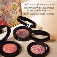 Échantillon gratuit vente en gros palette de maquillage blush personnalisée blush au four rose minéral naturel éclaircissant contour bronzant palette de blush