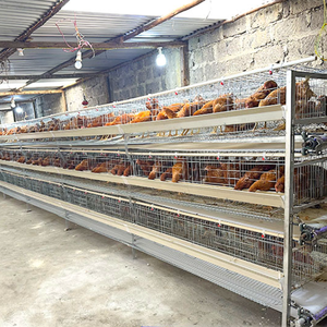 H tipi el krank gübresi temizleme tavuk kafesi pil tavuk yumurta tavuk tavuk tavuk hayvan kafesi çiftlik için döşeme - Product Image 2