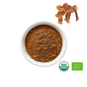 Натуральный грибной порошок 10%-50% полисахаридов, экстракт Agaricus Blazei Murrill, порошок экстракта Agaricus Brasiliensis - Product Image 2