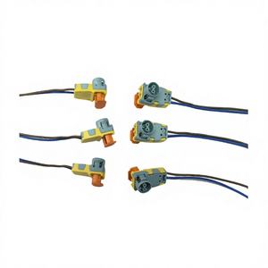 سيارة رصاص كهربائية ضفيرة 2 دبوس سيارة مخصصة - Product Image 1