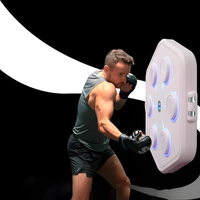 One Punch-Appareil de boxe pour adultes, sport, soulagement du stress, musique intelligente, avec gants de boxe