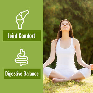 Capsules de Curcuma et de Racine de Gingembre à Forte Demande pour l'Équilibre Digestif – Complément de Curcuma, Curcumine et Racine de Gingembre - Product Image 5